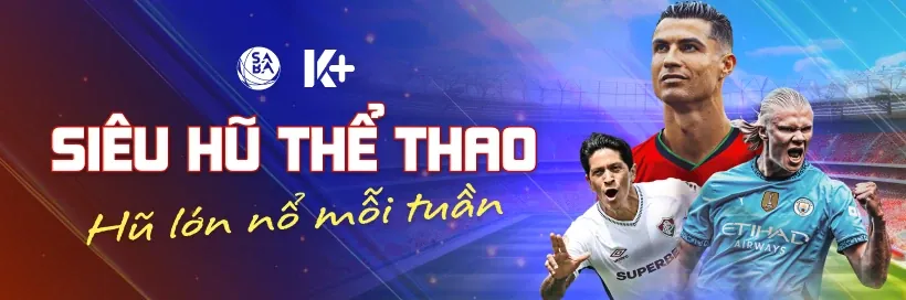 Hỗ trợ toàn diện